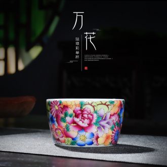 Jingdezhen hand-painted famille rose porcelain tea pot colored enamel archaize seal storage tanks tieguanyin tea accessories