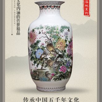 Jingdezhen ceramics powder enamel vase modern home sitting room adornment handicraft jiangnan xiuse landing place