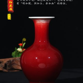 Jingdezhen ceramics twelve xi powder enamel vase vase wedding furnishing articles of handicraft pomegranate bottle of contemporary sitting room