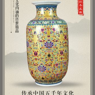 Jingdezhen ceramics colored enamel vase sitting room decoration dragon born study modern household furnishing articles