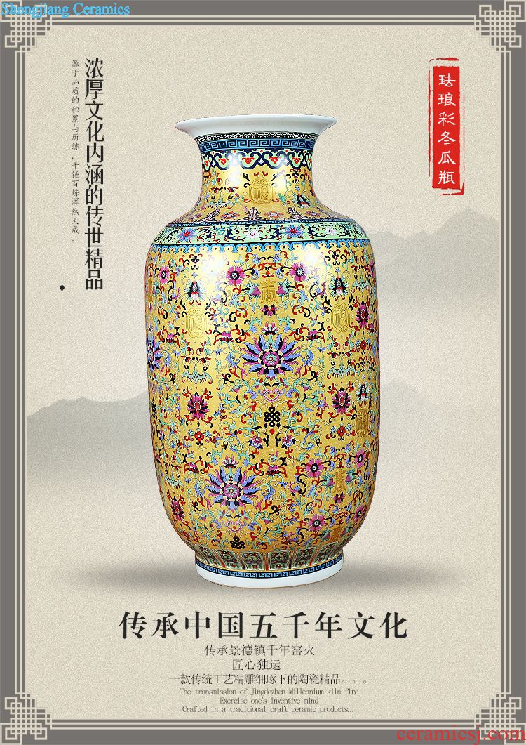 Jingdezhen ceramics colored enamel vase sitting room decoration dragon born study modern household furnishing articles