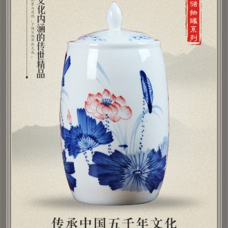 Jingdezhen ceramics hand-painted porcelain landing large vases, modern household act the role ofing is tasted furnishing articles sitting room hotel company