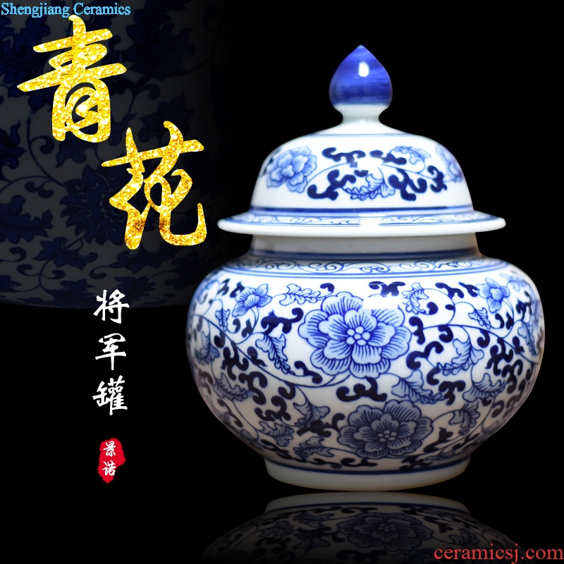 Jingdezhen ceramics vase general antique blue and white porcelain jar storage tank contemporary household adornment furnishing articles process