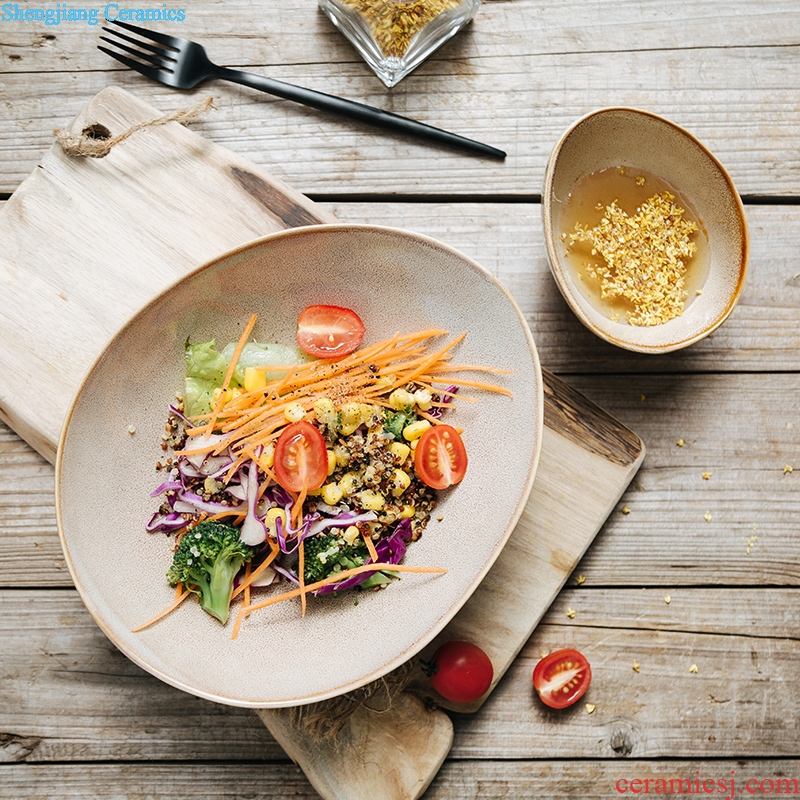 Ijarl million jia Japanese special creative bowl of soup bowl rainbow noodle bowl ceramic bowl with irregular fruit salad bowl
