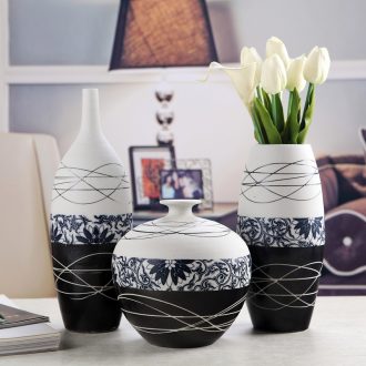 Ceramic crafts sitting room adornment is placed wedding gift ideas vases, modern household housewarming gift