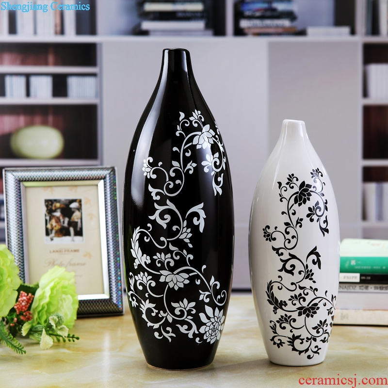 Contemporary and contracted sitting room ark creative arts and crafts porch place TV ark home decoration ceramic vase