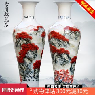 Jingdezhen ceramics antique hand-painted youligong flower arranging big vase home sitting room ground adornment furnishing articles