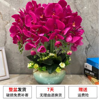 Jingdezhen ceramic vase furnishing articles of new Chinese style table wine porch decoration flower flower sitting room TV cabinet decoration