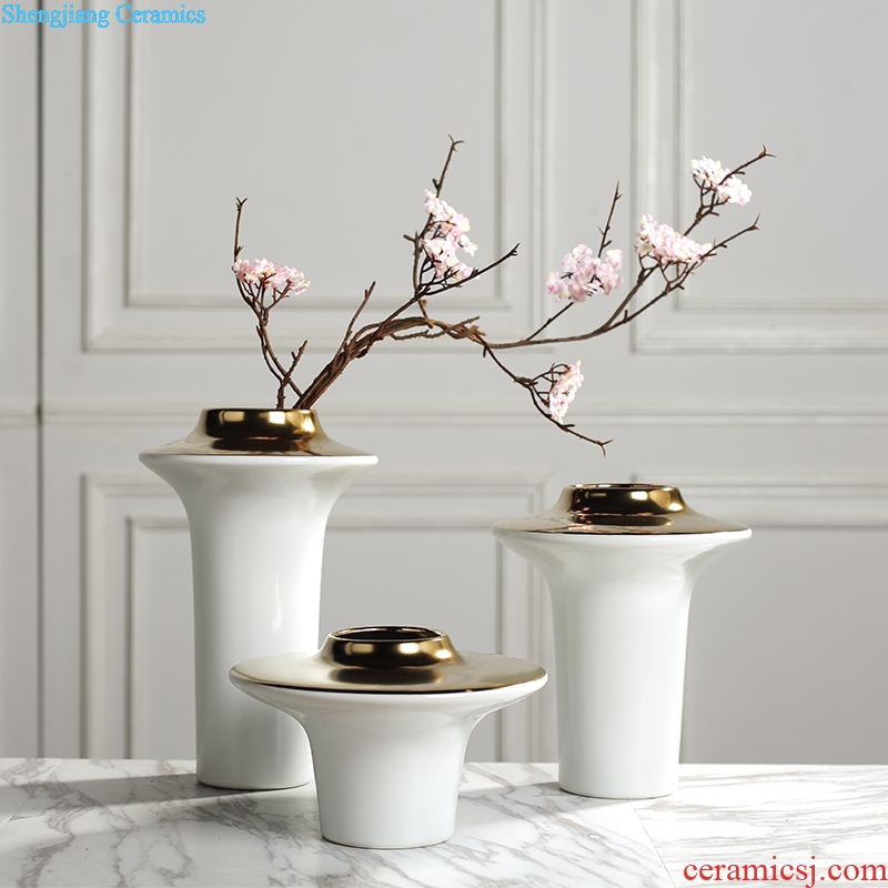 Creative contemporary and contracted light flower arranging exchanger with the ceramics vase luxury furnishing articles sitting room ark example room Nordic soft decoration