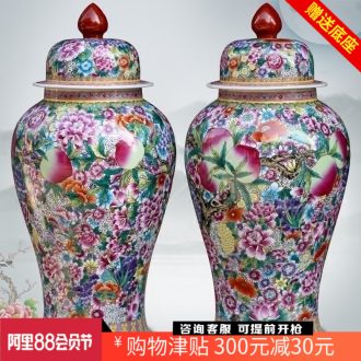 Hand draw pastel peach flower is nine figure ground general jar of jingdezhen ceramic vase sitting room adornment big furnishing articles