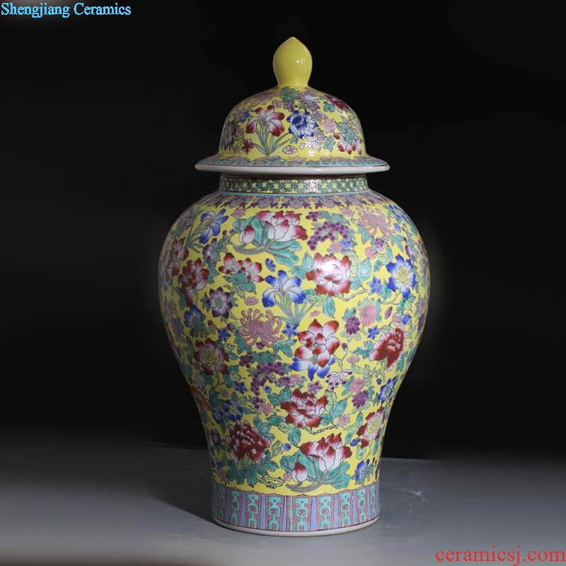 Jingdezhen general hand-painted flower porcelain jar flower flower general display porcelain ceramic xiantao pot