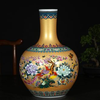 Jingdezhen ceramics of large vases, flower implement flower arranging living room home decoration ceramic bottle furnishing articles