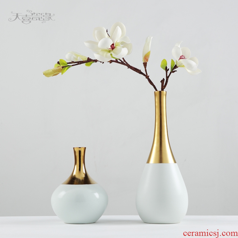 Modern Nordic ceramic vase TV ark place the sitting room porch table is pure and fresh and dry flower art flower arranging soft decoration
