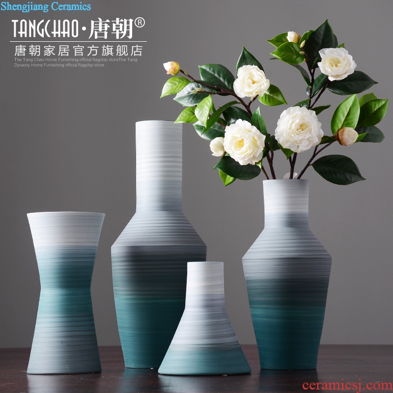 Tang dynasty, modern household contracted morandi color ceramic vase living room table dry flower arranging flowers furnishing articles ornaments