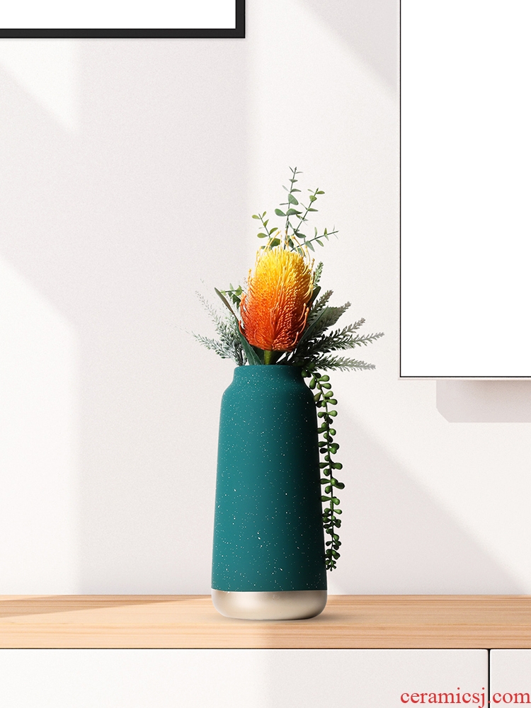 Vase furnishing articles sitting room flower arranging the Nordic ceramic household act the role ofing is tasted decorate the room TV cabinet desk dried flowers 砙 porch