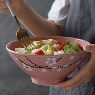 La rainbow noodle bowl hat to rainbow noodle bowl bowl beef home noodles bowl of soup bowl personality retro creative Japanese ceramics big rainbow noodle bowl