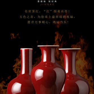 Jingdezhen ceramic large vase furnishing articles dried flower arranging flowers sitting room be born Chinese style household decoration decorative flower art - 602659031815