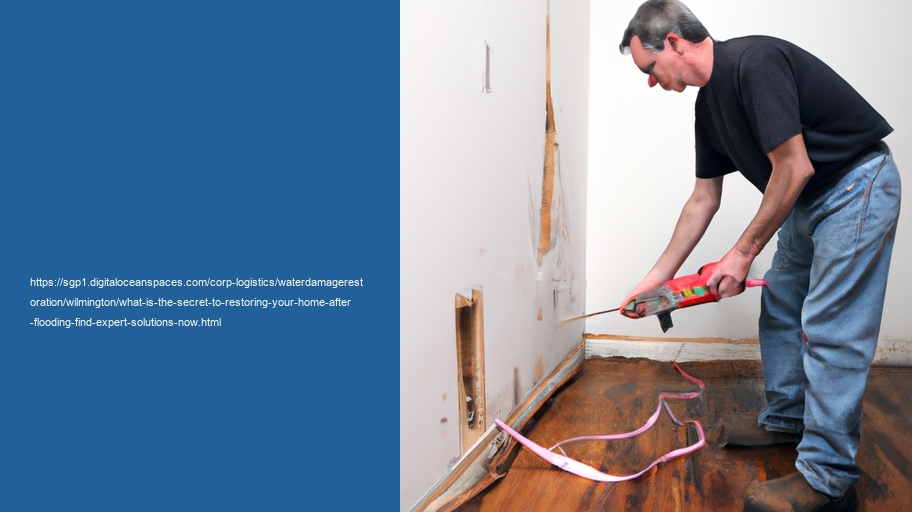 What is the secret to restoring your home after flooding? Find Expert Solutions Now!