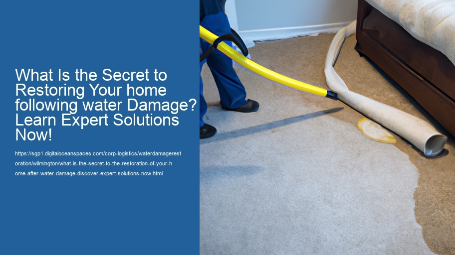 What is the secret to the restoration of your home after water damage? Discover Expert Solutions Now!