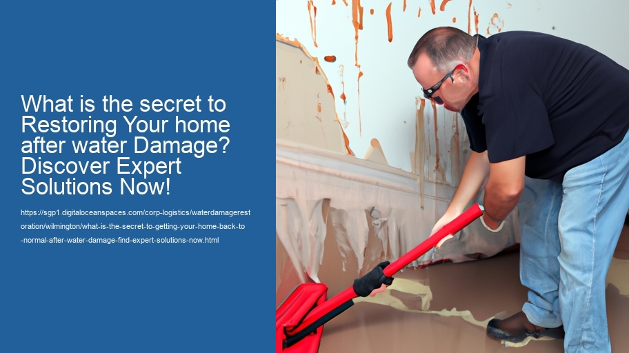 What is the secret to getting your home back to normal after water damage? Find Expert Solutions Now!