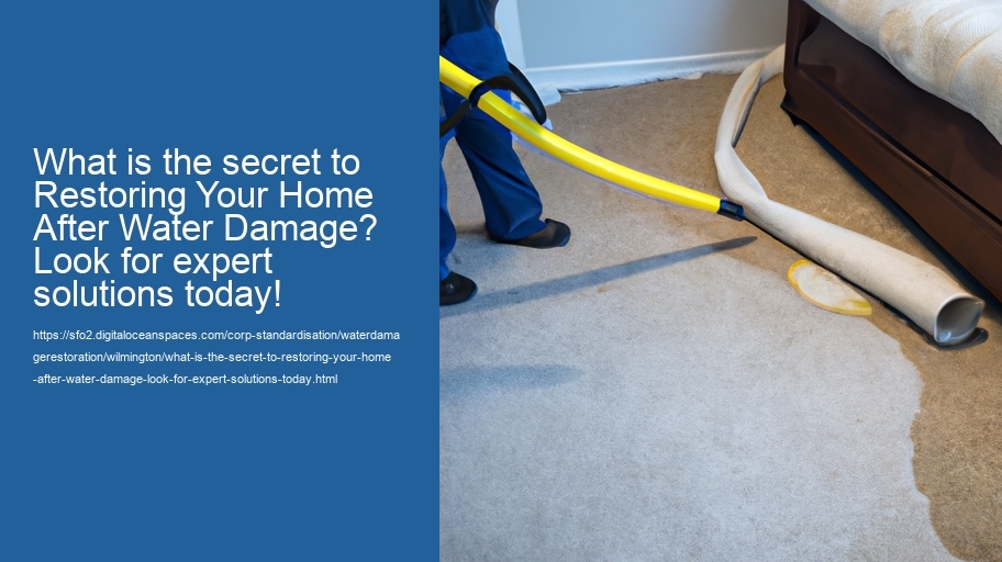 What is the secret to Restoring Your Home After Water Damage? Look for expert solutions today!