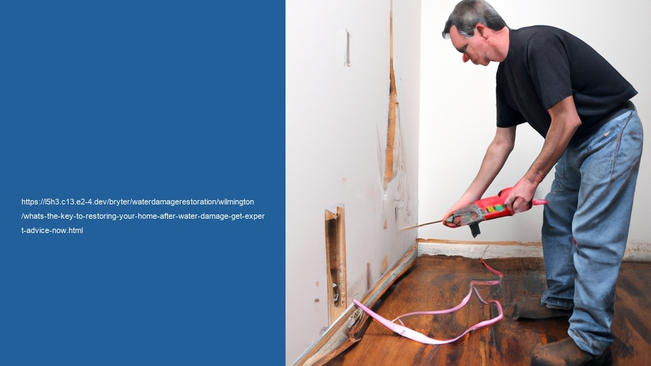 What's the key to Restoring Your home after water Damage? Get expert advice now!