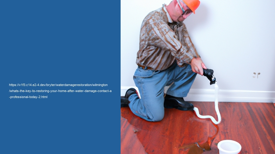 What's the key to Restoring Your Home after Water Damage? Contact a professional today!