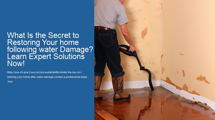 What's the key to Restoring Your home after water Damage? Contact a professional today!