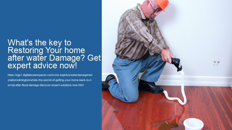 What's the secret of getting your home back to normal after flood damage? Discover Expert Solutions Now!