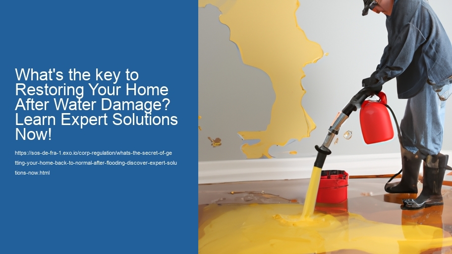 What's the secret of getting your home back to normal after flooding? Discover Expert Solutions Now!