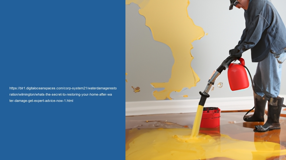 What's the secret to Restoring Your Home after Water Damage? Get expert advice now!