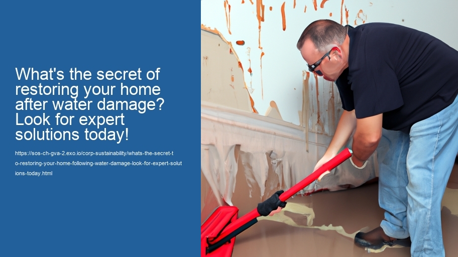 What's the secret to Restoring Your home following water Damage? Look for expert solutions today!