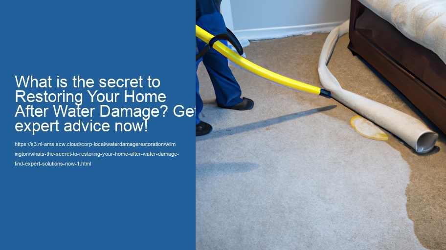 What's the secret to Restoring Your home after water Damage? Find Expert Solutions Now!