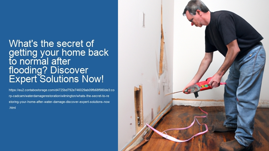 What's the secret to restoring your home after water damage? Discover Expert Solutions Now!