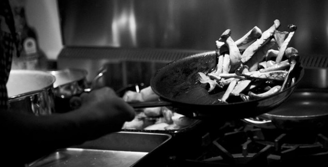 250575_532664980113372_1339014746_n