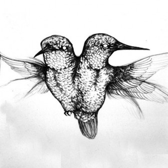 Courtship-Ritual-Pith header