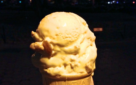 Apricot Jam Cookie Custard - Shake Shack