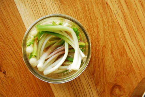 Ready to pickle: cleaned, trimmed ramps packed into a sterilized mason jar.