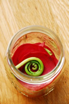 More pickles: shaved beets and fiddlehead ferns, another edible sign of spring.