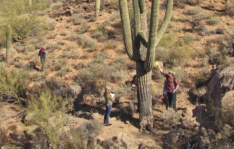 Camping World’s Guide to Saguaro National Park - Camping World