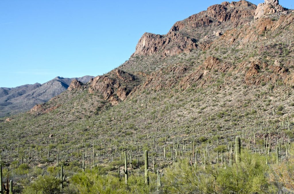 Photo Tripping America - Saguaro - Camping World