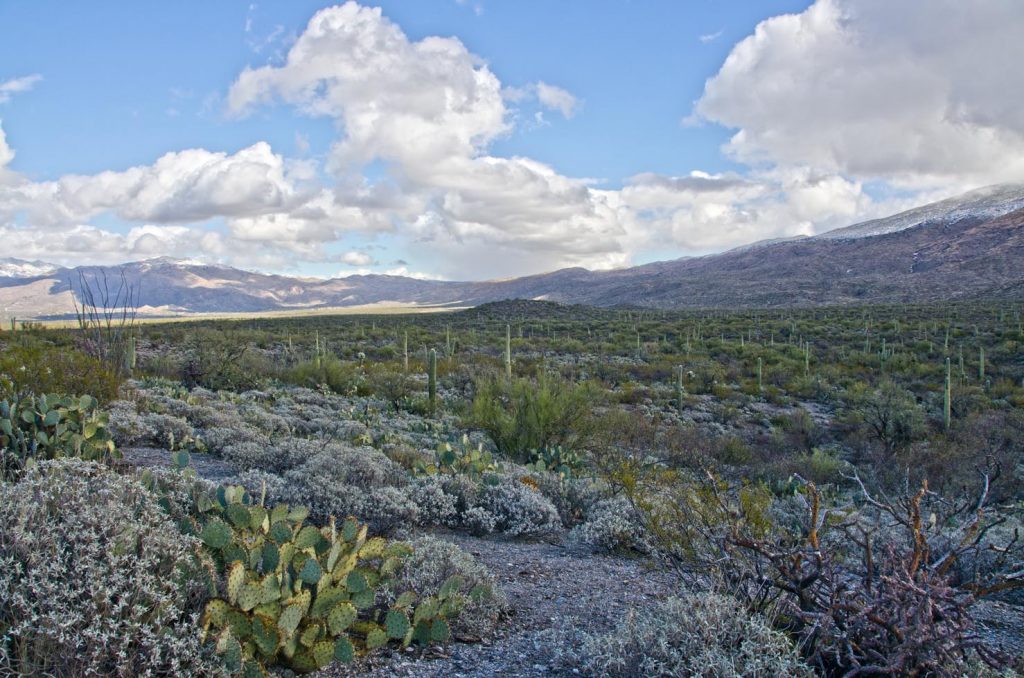 Photo Tripping America - Saguaro - Camping World