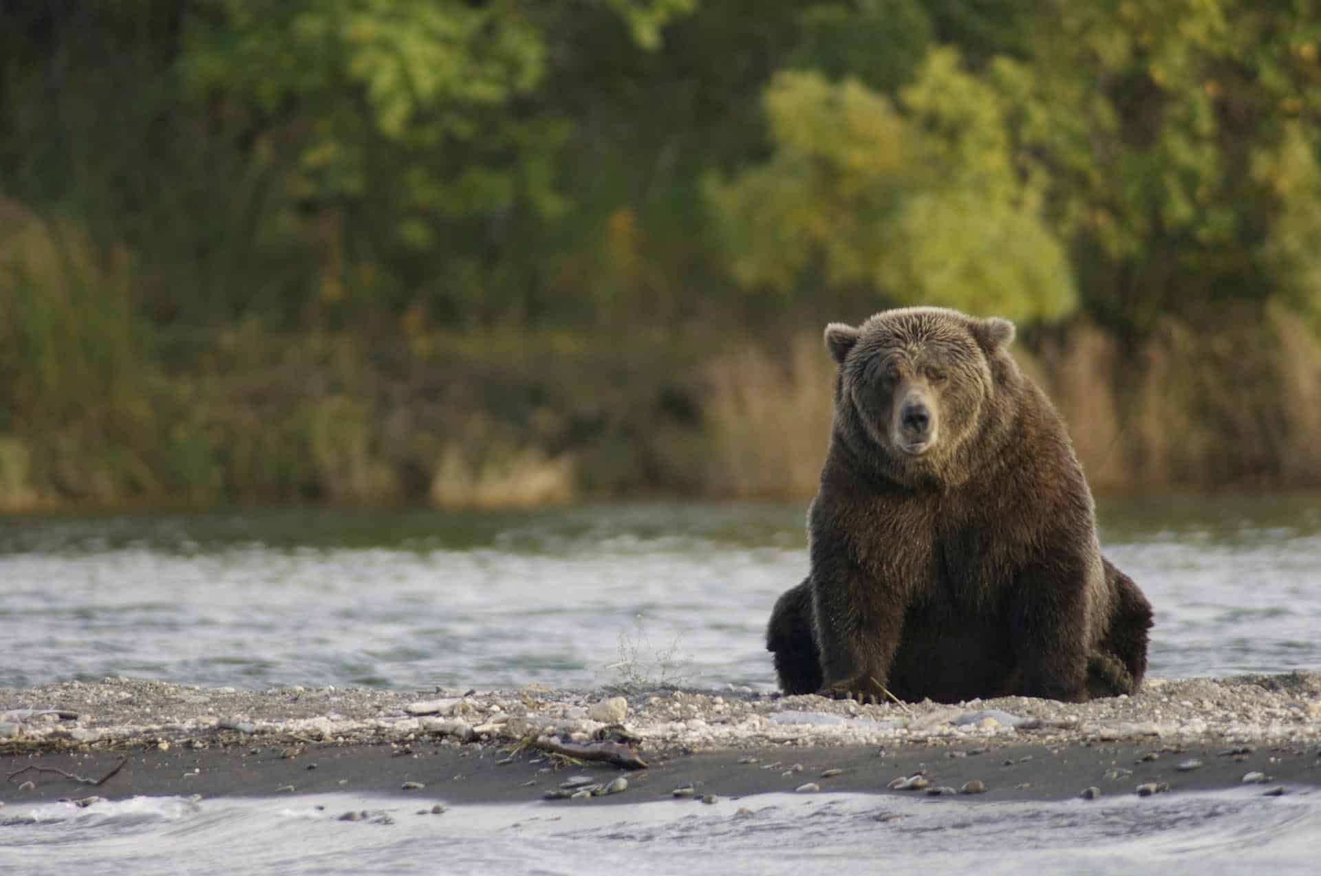 Photo Tripping America - Katmai National Park - Camping World