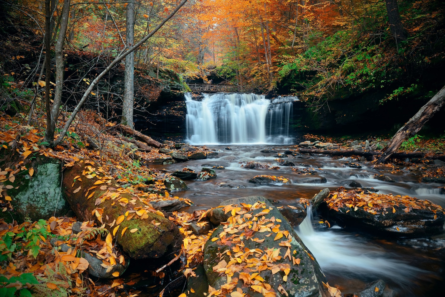 Escape the City: Exploring the Enchanting State Parks of Eastern Pennsylvania