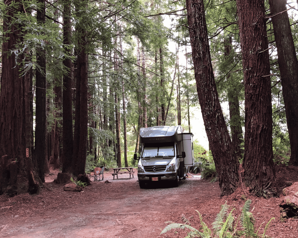 Camping in Redwoods National Park