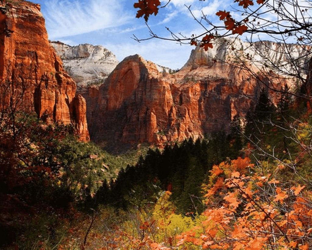 A scenic view of fall colors at Zion National Park. 