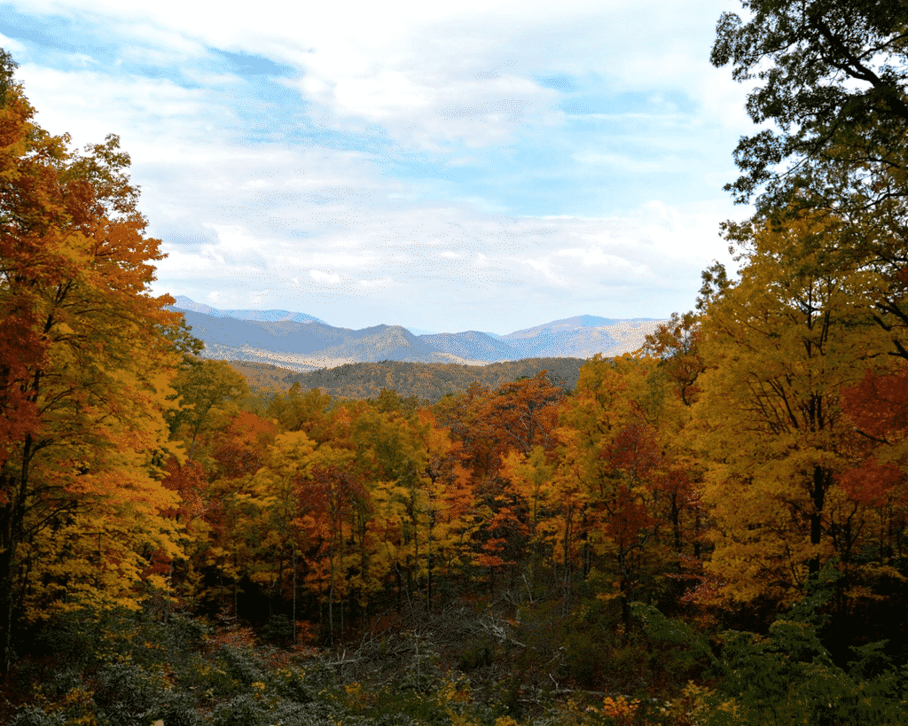 Fall view of the Great Smoky Mountains