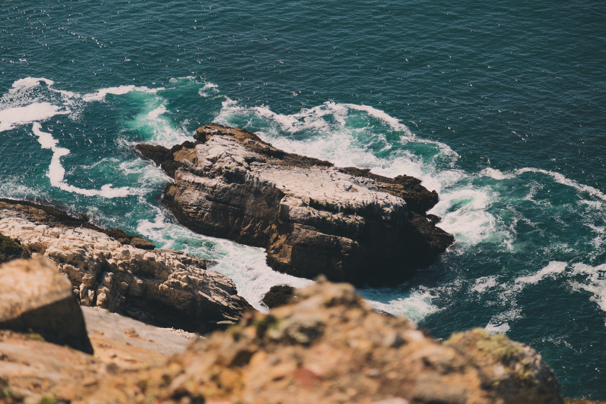 point reyes national seashore