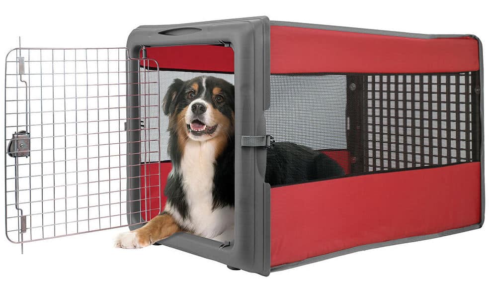 dog camping crate with a dog in it