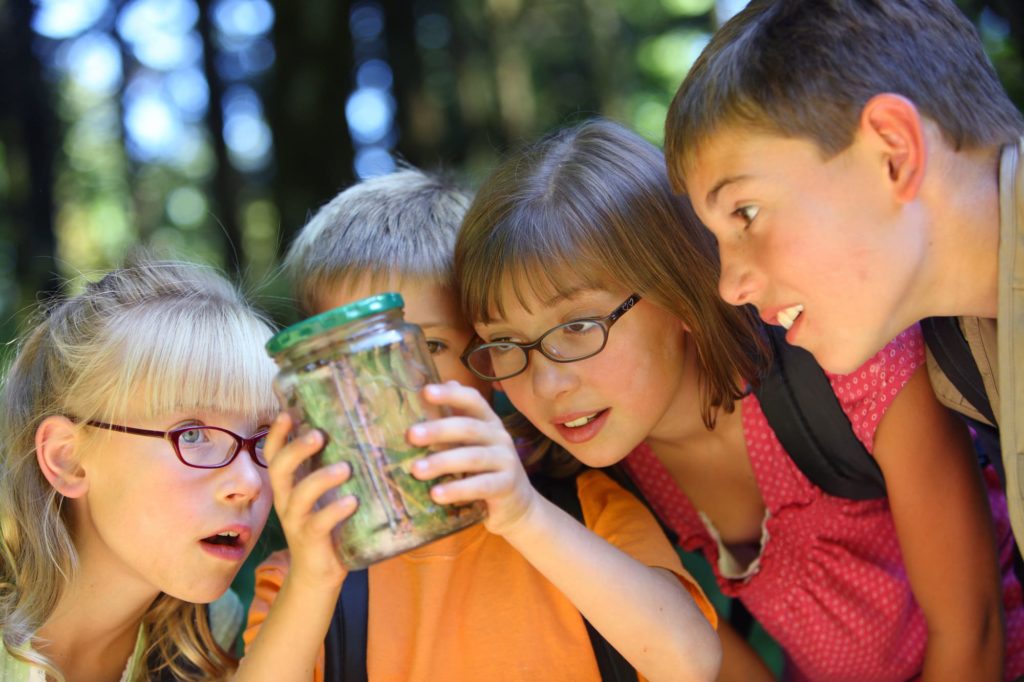Group of children looking at bug in jar